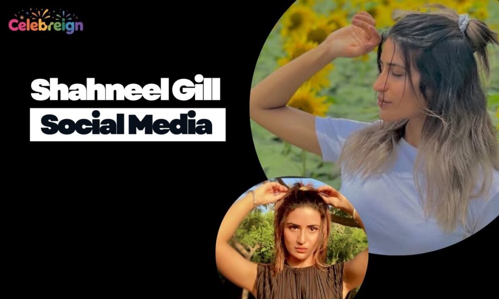 Shahneel Gill Social Media Presence